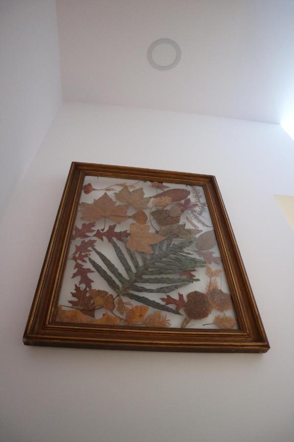Casa Das Antas ปอร์โต ภายนอก รูปภาพ